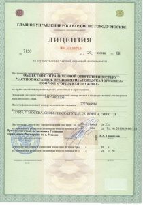 ЧОП "Городская дружина" ЧОП "Городская дружина"