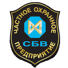 Группа компаний "Система безопасности ВИЮР"