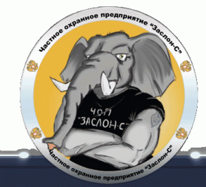 Заслон-С