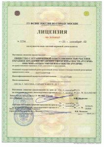 Охранный холдинг "Русичи"