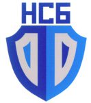 Ассоциация НСБ