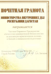 Охранный холдинг "Радонеж Система безопасности"