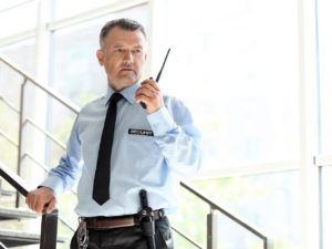 Частная детективная и охранная деятельность в РФ