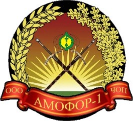 ЧОП «Амофор»