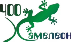 Логотип ЧОО "Хамелеон"